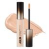 Merzy the First Creamy Concealer 5.6g, CL1 Apricot, 1ea